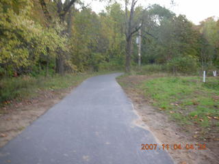 Holmdel Park - foliage