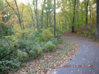 Holmdel Park - foliage