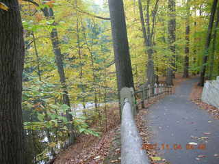 Holmdel Park - foliage - No Runners signs