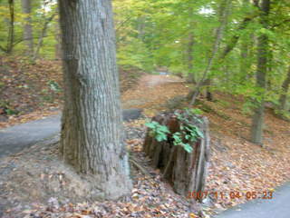 Pennypack Park