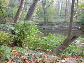 Pennypack Park