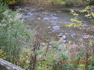 Pennypack Park