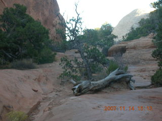 192 6be. Arches National Park - Devils Garden hike