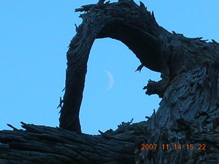 Arches National Park - Devils Garden hike - moon inside tree silhouette