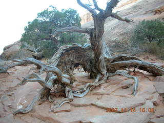 251 6be. Arches National Park - Devils Garden hike