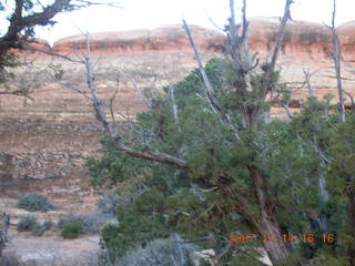 258 6be. Arches National Park - Devils Garden hike