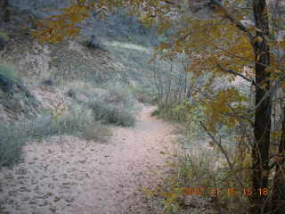 267 6bf. Moab - Negro Bill Trail