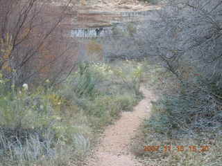 270 6bf. Moab - Negro Bill Trail
