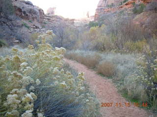 284 6bf. Moab - Negro Bill Trail