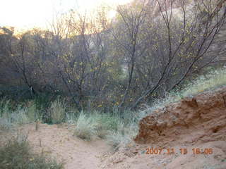 295 6bf. Moab - Negro Bill Trail