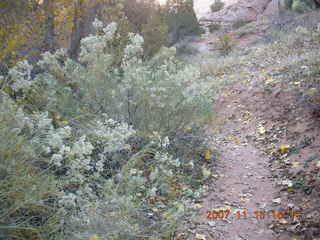 310 6bf. Moab - Negro Bill Trail