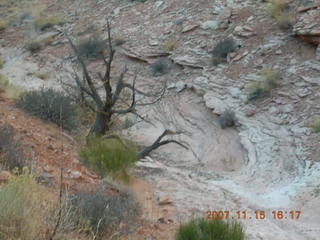 317 6bf. Moab - Negro Bill Trail
