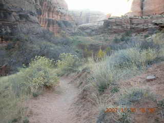 318 6bf. Moab - Negro Bill Trail