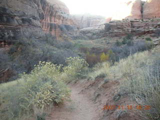321 6bf. Moab - Negro Bill Trail