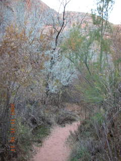 332 6bf. Moab - Negro Bill Trail