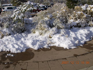 snowy trees at Bright Angel Lodge