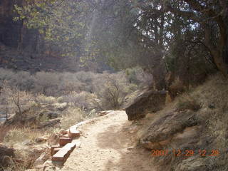 37 6cv. Zion National Park - Angels Landing hike
