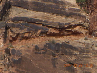 Zion National Park - Angels Landing hike - max zoom of trail cut in rock