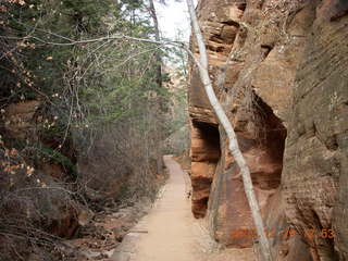 44 6cv. Zion National Park - Angels Landing hike