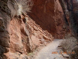 Zion National Park - Angels Landing hike - max zoom of trail cut in rock