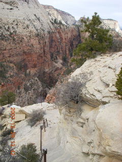 Zion National Park - Angels Landing hike - chains - top