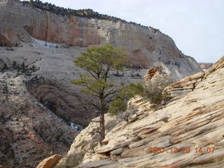 86 6cv. Zion National Park - Angels Landing hike - top