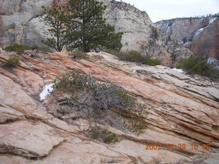 192 6cv. Zion National Park - West Rim trail
