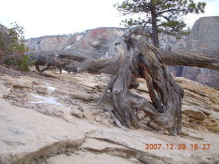 193 6cv. Zion National Park - West Rim trail