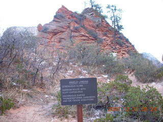24 6cx. Zion National Park - sunrise Angels Landing hike - warning sign at Scout Lookout