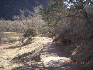 299 6cx. Zion National Park - Angels Landing hike