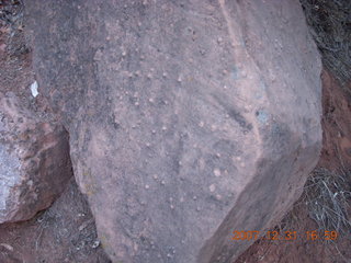 343 6cx. Zion National Park - pimply rock