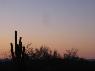 Sonia's pictures - desert at dawn - Lost Dog Wash