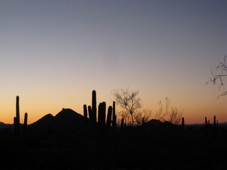 Sonia's pictures - desert at dawn - Lost Dog Wash