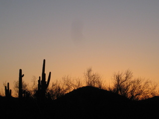 Sonia's pictures - desert at dawn - Lost Dog Wash