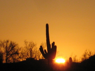 Sonia's pictures - desert sunrise - Lost Dog Wash