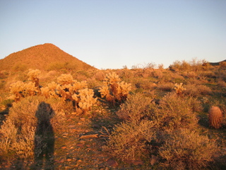 Sonia's pictures - desert at sunrise - Lost Dog Wash