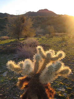 Sonia's pictures = desert at dawn - Lost Dog Wash