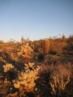 Sonia's pictures - desert at sunrise - Lost Dog Wash