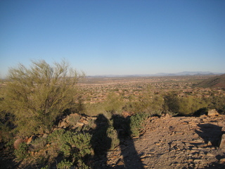 Sonia's pictures - cholla cactus at sunrise - Lost Dog Wash