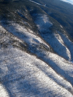 927 6dh. Sonia's pictures - aerial - Grand Canyon