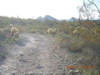 Lost Dog Wash - Adam and saguaro cactus