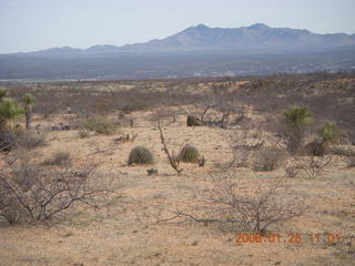 desert near Benson Airport (E95)