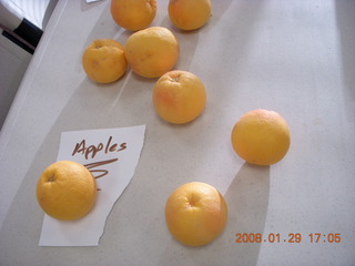2387 6dv. 'apples' that are really grapefruit