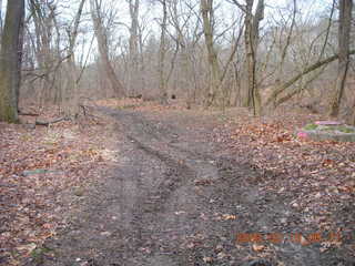 Pennypack Park - path