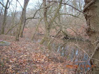 Pennypack Park - cute bench