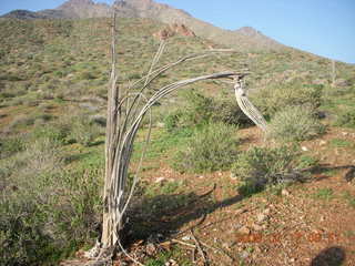 desert near Benson Airport (E95)