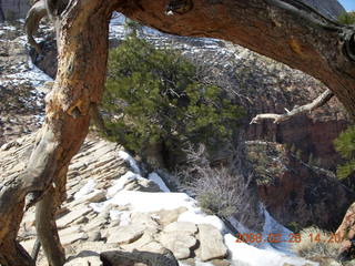 62 6eu. Zion National Park - Angels Landing hike
