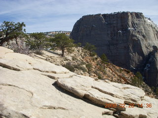 67 6eu. Zion National Park - Angels Landing hike