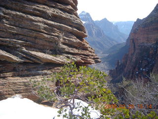 Zion National Park - Angels Landing hike - Adam coming down the icy part