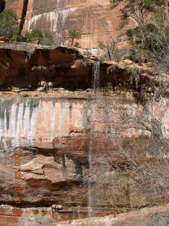 Zion National Park - Emerald Ponds hike - waterfall